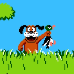 Duck Hunt