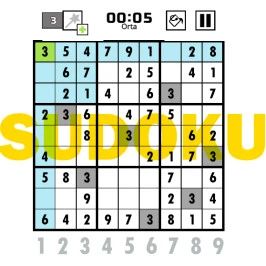 Seviyeli Sudoku